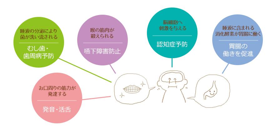 メリット：むし歯・歯周病予防、胃腸の働きを促進、発音・活舌、嚥下障害防止、認知症予防