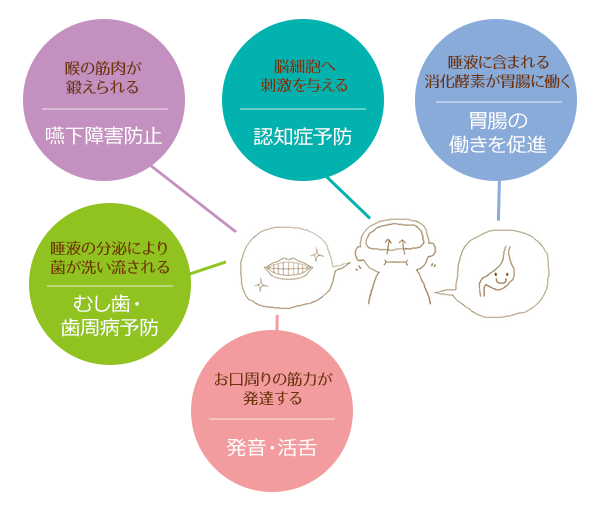 メリット：むし歯・歯周病予防、胃腸の働きを促進、発音・活舌、嚥下障害防止、認知症予防