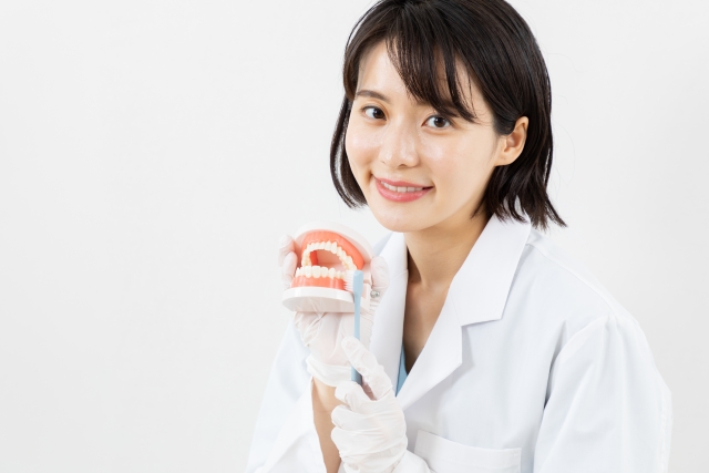 【新潟の歯医者】セラミッククラウンの寿命や長持ちさせる方法