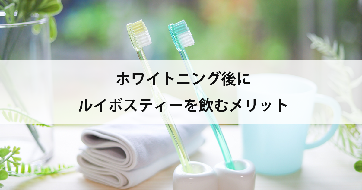 【新潟の歯医者でホワイトニング】ホワイトニング後にルイボスティーを飲むメリット
