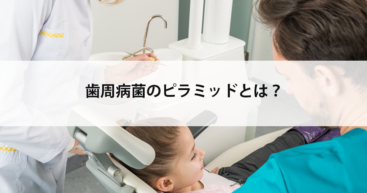 【新潟の歯医者で歯周病治療】歯周病菌のピラミッドとは?