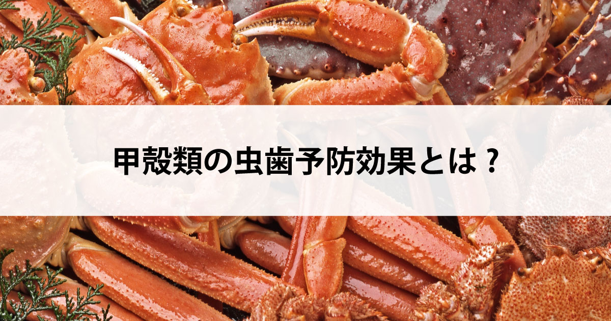 【新潟の歯医者・予防歯科】甲殻類の虫歯予防効果とは?