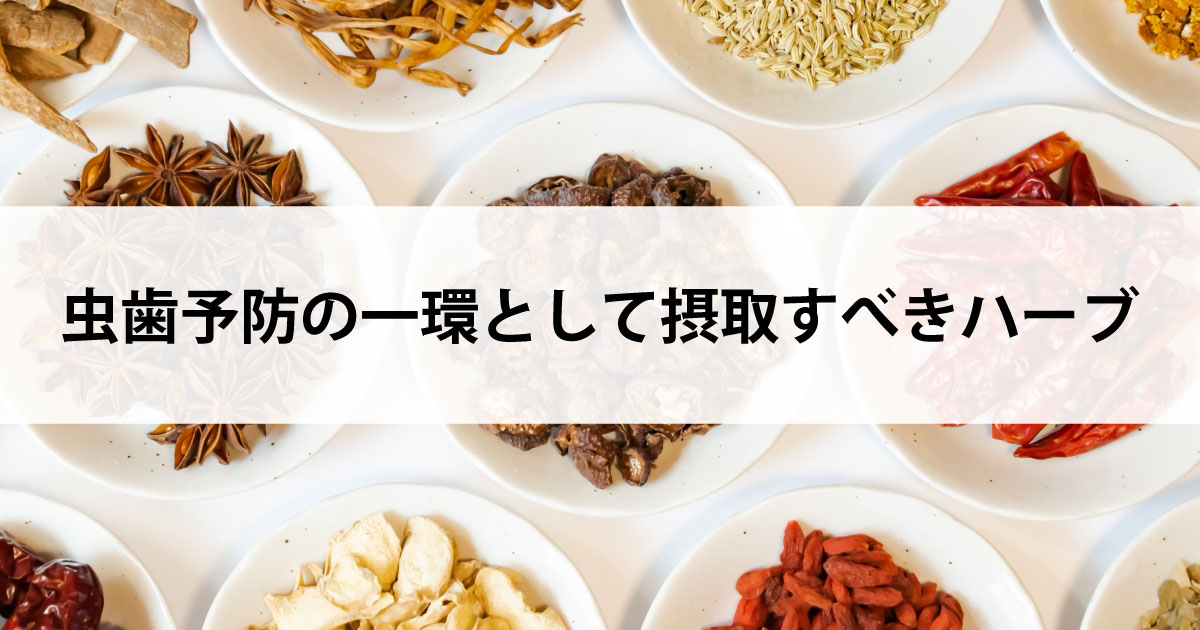 【新潟の歯医者・予防歯科】虫歯予防の一環として摂取すべきハーブ